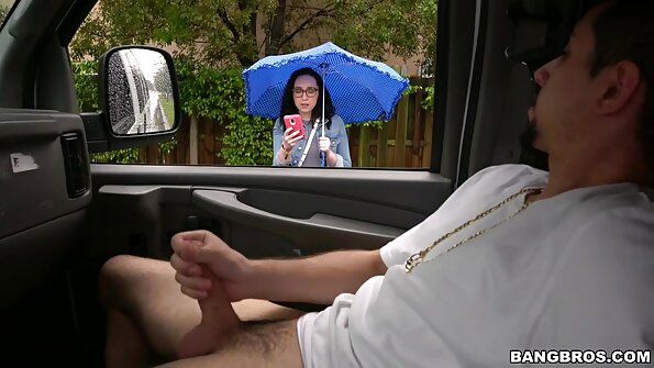 යුරෝපීය හොටී ආන්යා ක්‍රේ ප්‍රසන්න පච්ච කොටාගත් ස්ටාලියන්