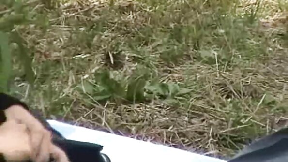 බාබරා බීවර් මෝටර් රථයේ අං තෘප්තිමත් කරයි