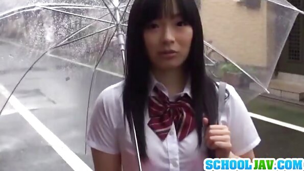 පච්ච කොටා ගත් බිම්බෝ රළු පුස් පහරක් ගනී